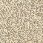 Pebble Grain Texture Personalised Case
